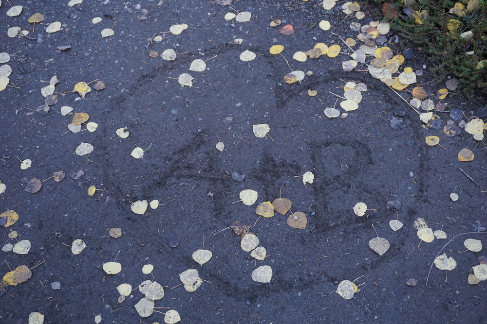 DSC02586.JPG